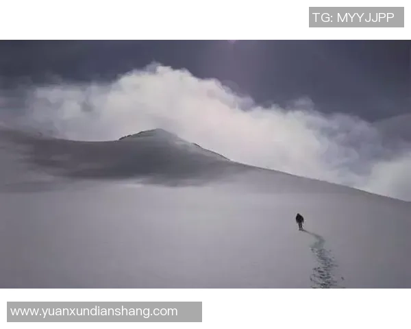 无敌之路上的孤独旅程与心灵的深邃反思