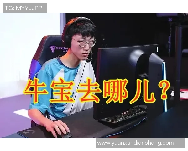 HLE淘汰选手合同泄露Doinb透露京东或将签约宙斯